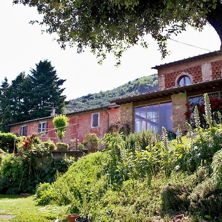 Casa Gaia Hostal Lucca Exterior foto